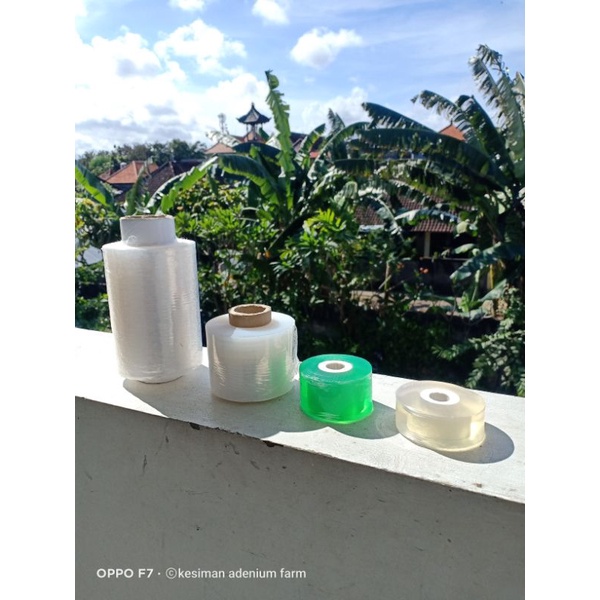 plastik grafting/okulasi