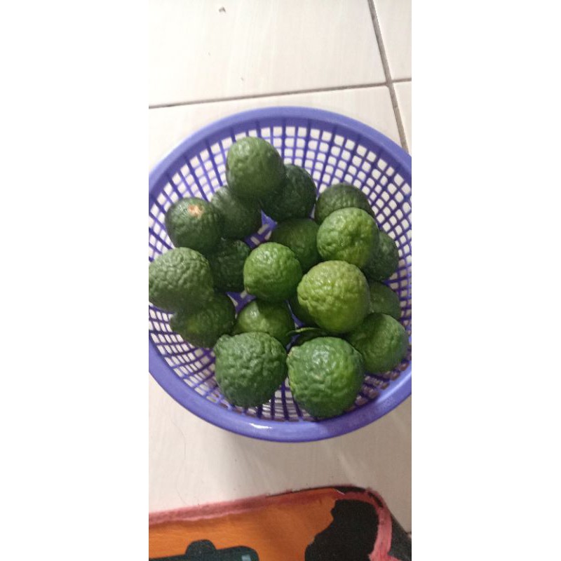 

Jeruk Purut { Utte Pangir }