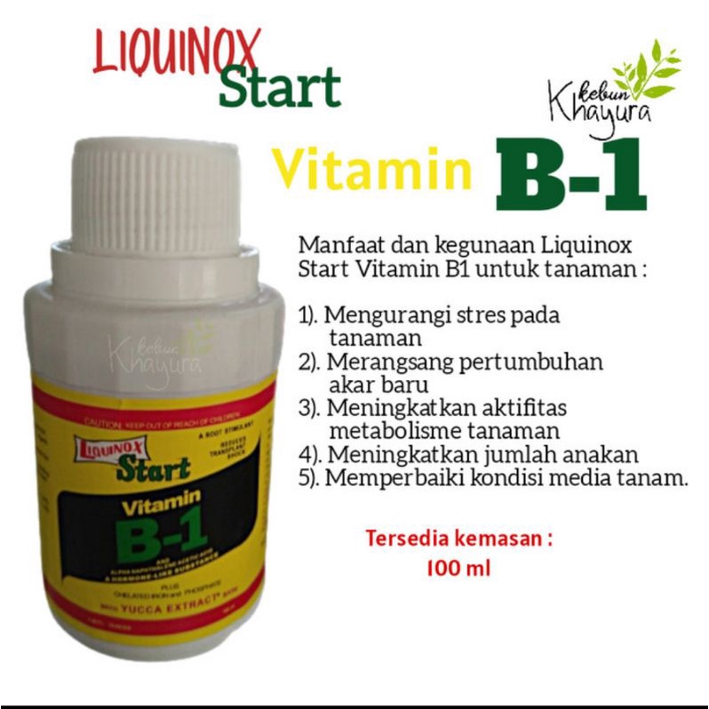 Vitamin B-1 Liquinox