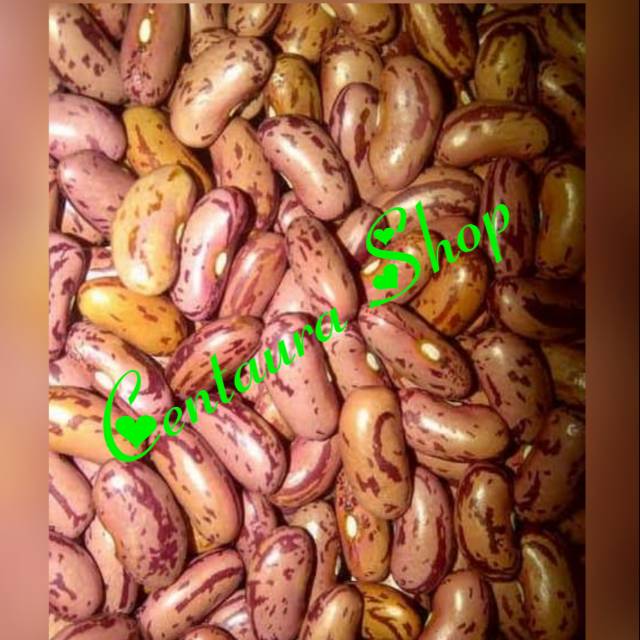 

Kacang Senerek Kwalitas Super Unggul 500gr