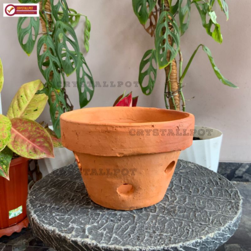 pot bunga tanaman anggrek tanah liat terracotta - POT ANGGREK TANAH