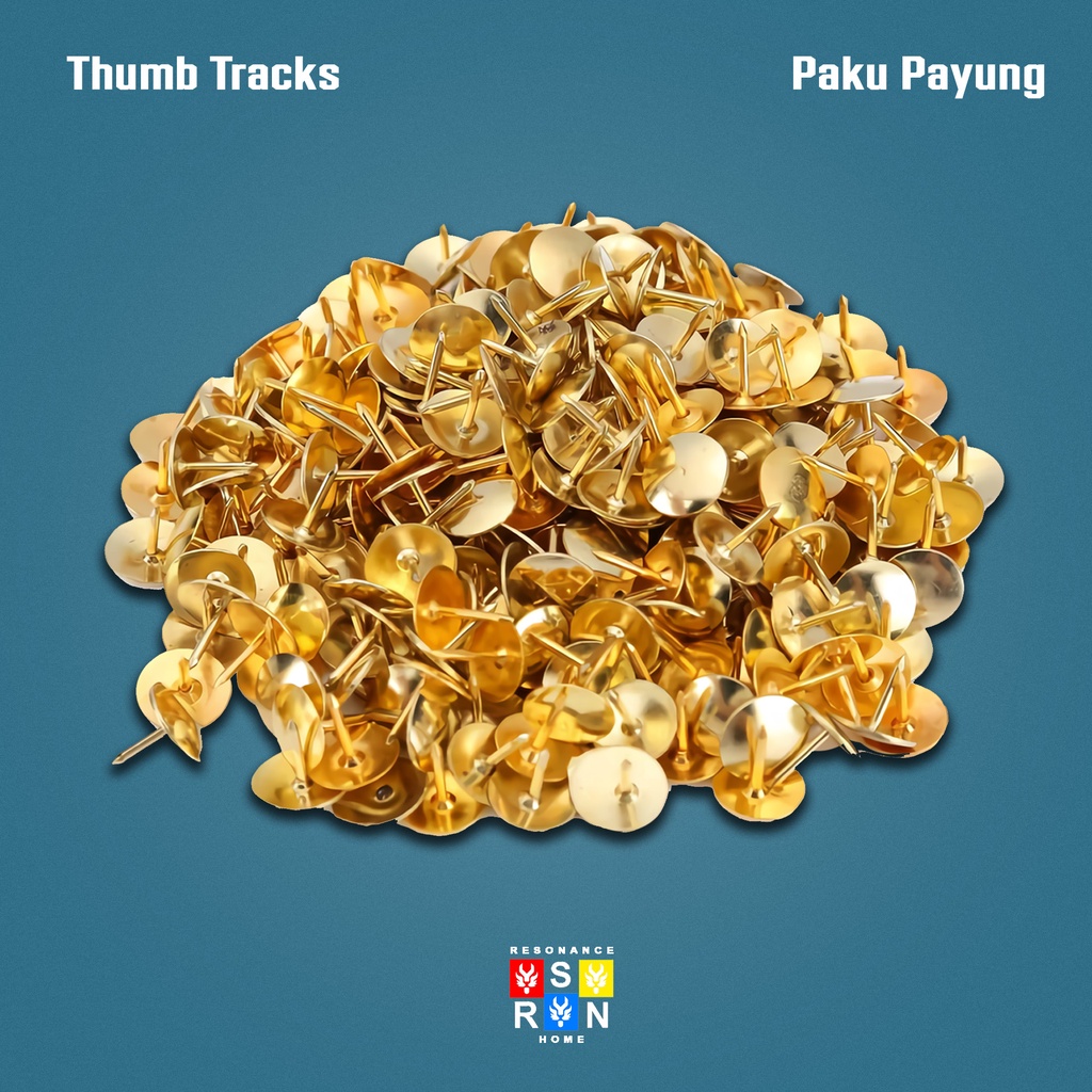 Paku Payung Per Box Isi 100pcs / Pines Thumb Tacks | Resonance Home