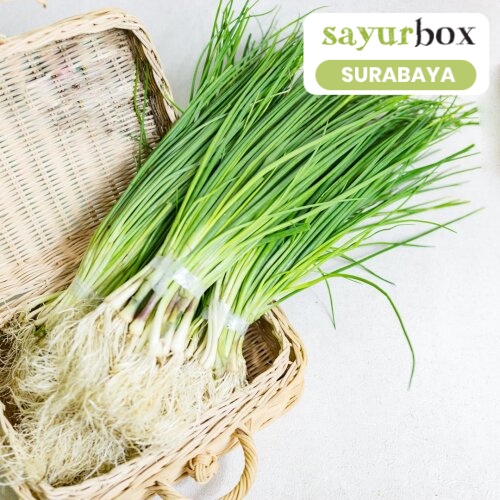 

Daun Bawang Cung Conventional 1 kg (Sayurbox) - SURABAYA