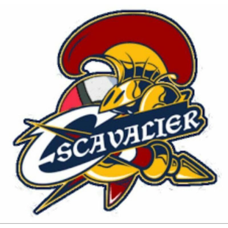 

Sticker Scavalier Ukuran 12 cm Full Color