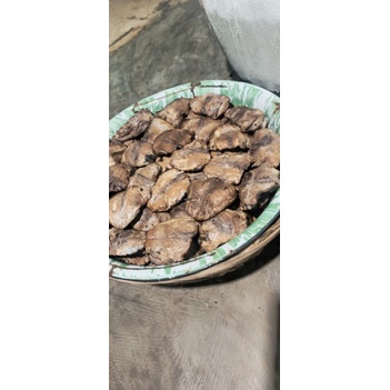 

FishAntum