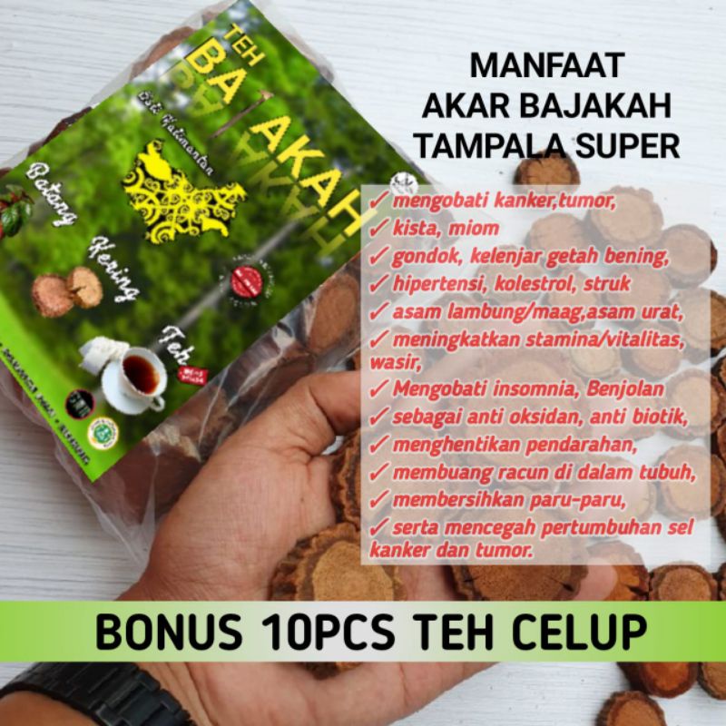 

Akar kayu bajakah tampala super 500gram terlaris