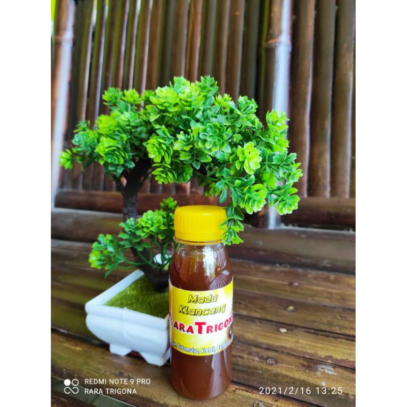 

MADU ASLI KLANCENG/TRIGONA