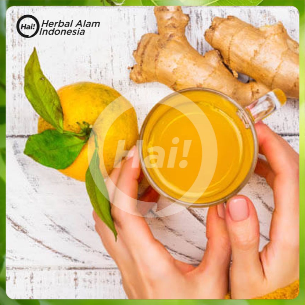 

TEMULAWAK SEGAR FRESH 1 KG ANTI CORONA HAI STORE