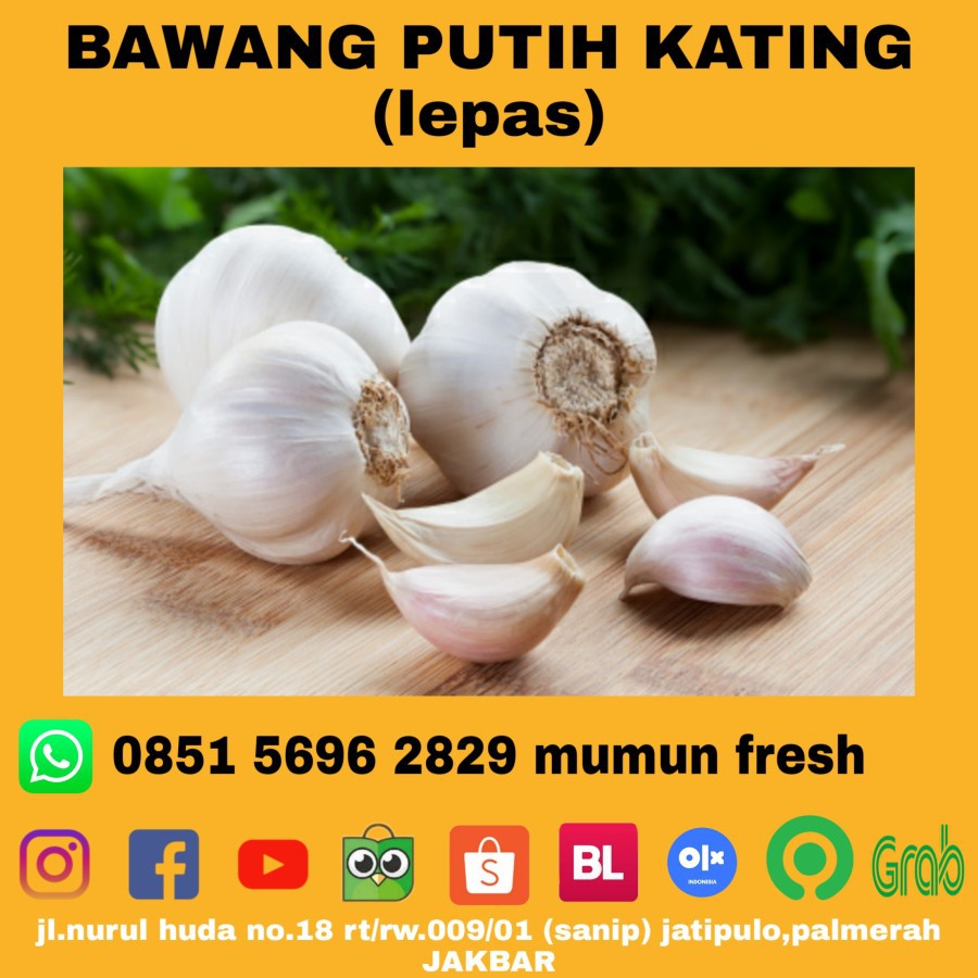 

Bawang Putih Kating