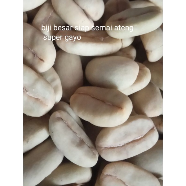 BIBIT KOPI ATENG SUPER 500 gram