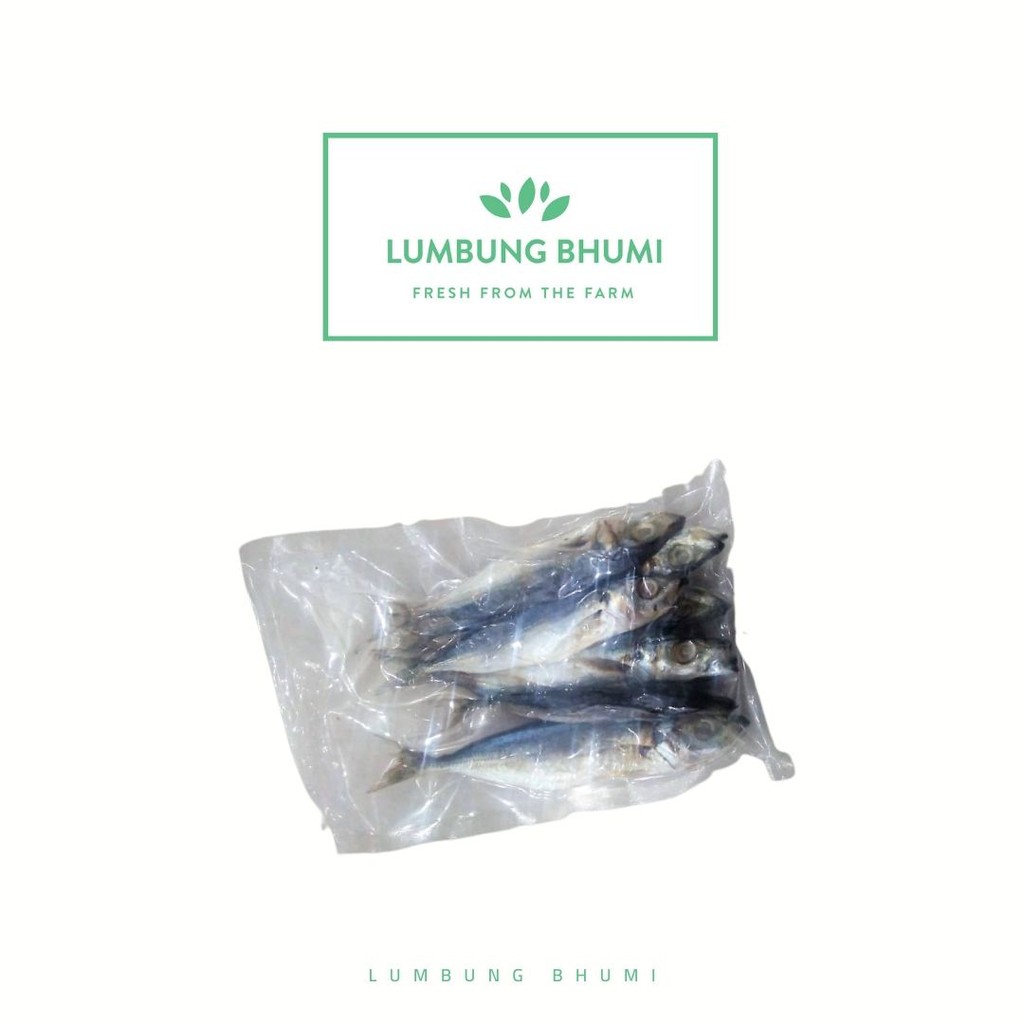 

Lumbung Bhumi - Ikan Asin Kembung Layar 250 Gr ( Bahan Pokok )