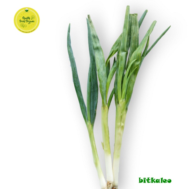 

Daun Bawang Organik 200 gr (PO)