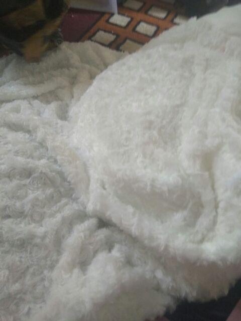 Bahan Snail/ Bulu Mawar/ Rasfur