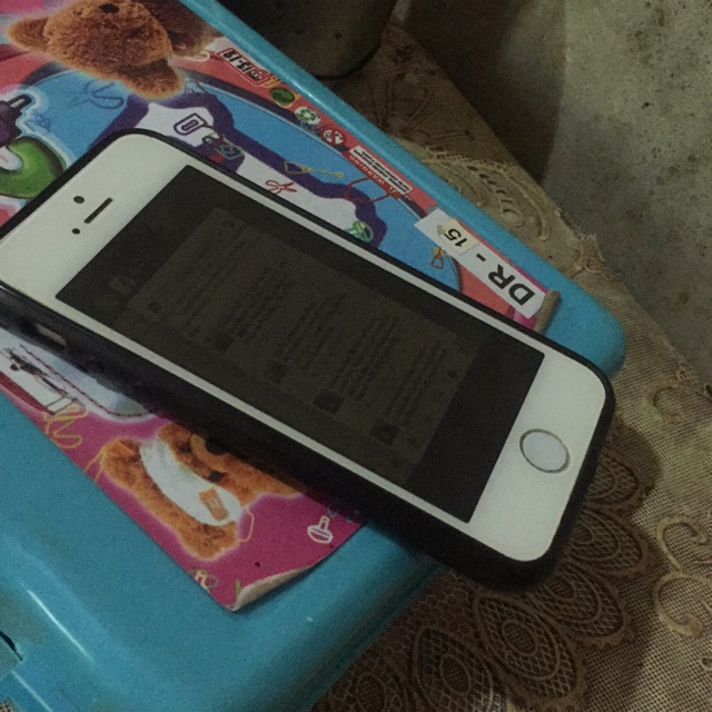 Case iphone 5s
