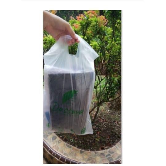 

Setsuko53.Jaya Dassava Bag - Kantong Cassava Bag (Bahan Dasar Singkong) - 25 X 40 Cm