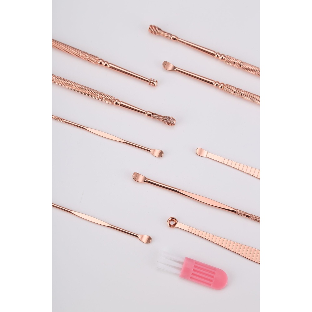 SET PEMBERSIH TELINGA KOREK KUPING EAR SPOON TOOL 10 PCS BA40 ROSE GOLD