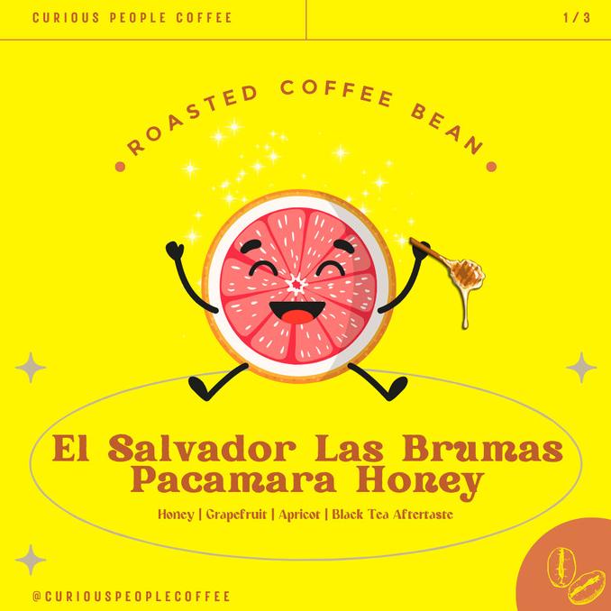 

BIJI KOPI MANUAL BREW ARABIKA - LAS BRUMAS PACAMARA HONEY - 1 KG FBFG63546