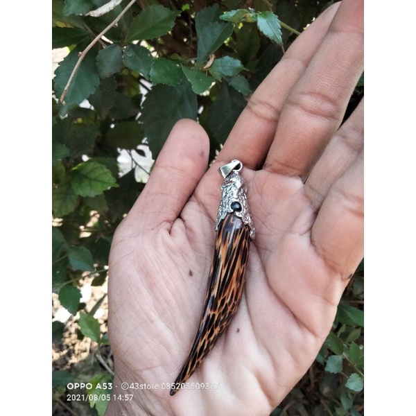 LIONTIN KALUNG LIWUNG MACAN PLUS ALPHAKA