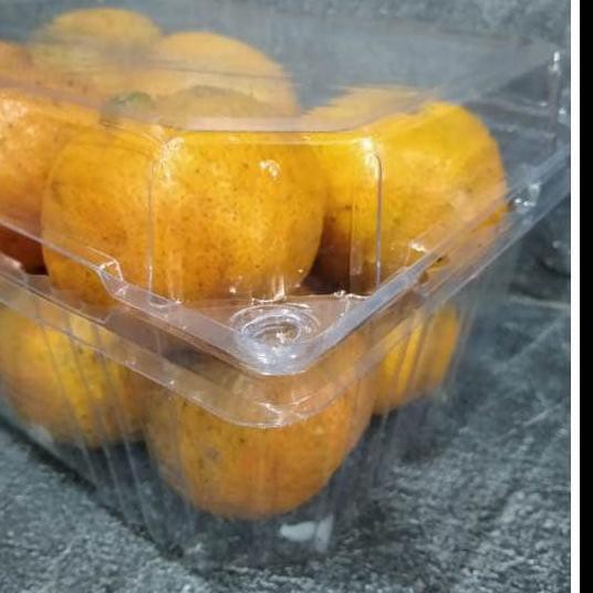 ♦ Kotak Mika Buah 1 Kg MB800 / 25 pc / Anggur Jeruk Jambu ←