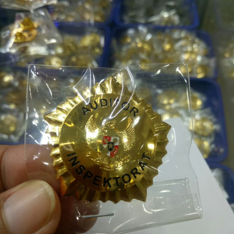 PIN AUDITOR INSPEKTORAT