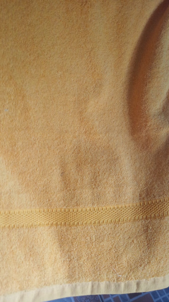 Handuk Olahraga / Facial / Kecil Tanggung Besar