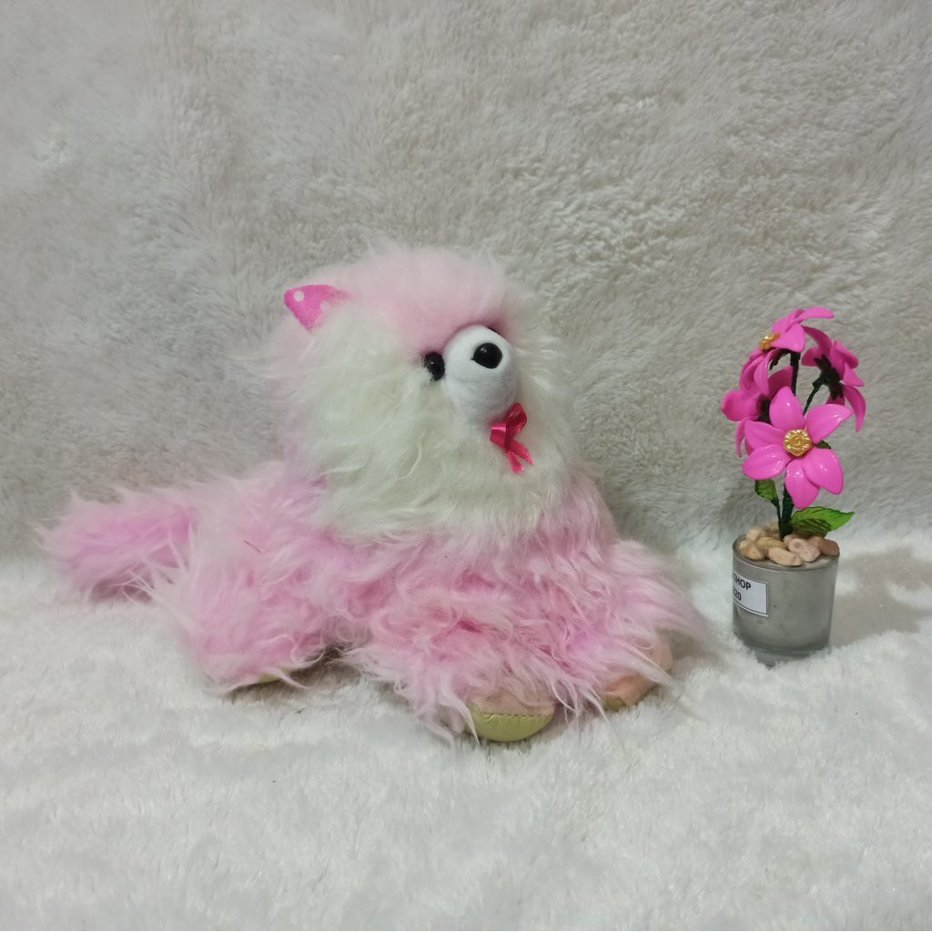 Boneka kucing jabrig XL