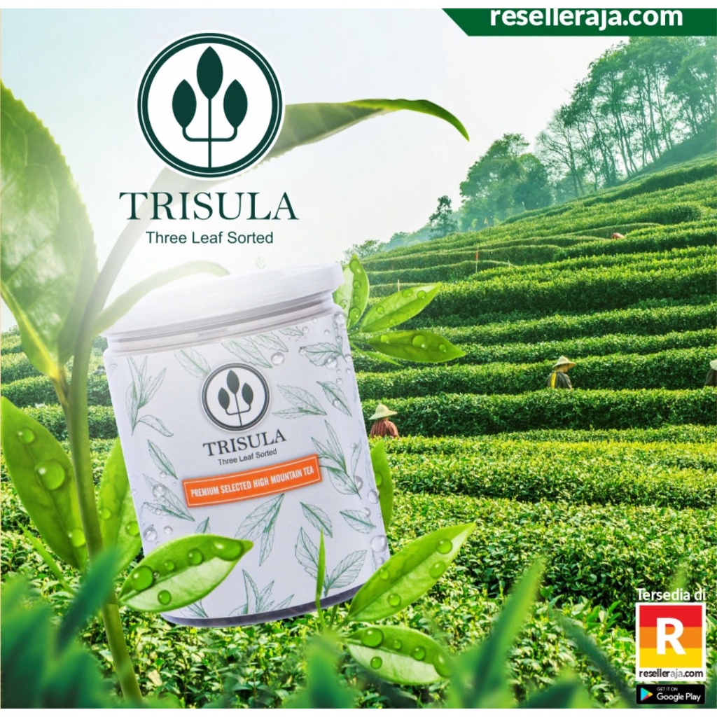 

Teh Trisula, Teh Gunung Lawu, Teh Berkualitas Baik, Teh Madu, Teh Pucuk, Madu Teh
