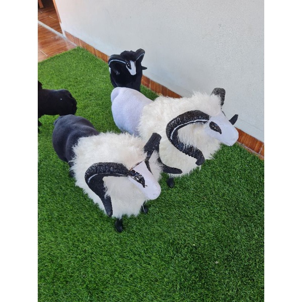 MINIATUR DOMBA GARUT