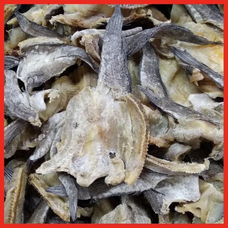 

IKAN GABUS BESAR 250 GR