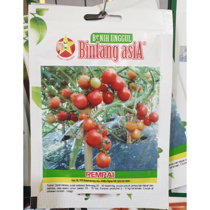 :>:>:>:>] Bintang Asia Benih Tomat Rempai