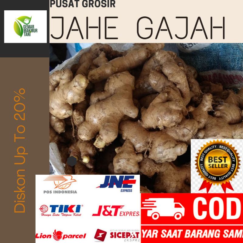 

Jahe Putih Segar/ Jahe Gajah | Jahe besar | Jahe jumbo| Jahe putih segar Murah berat