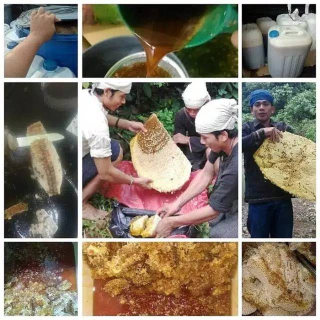 Madu asli 100%hutan baduy  madu odeng