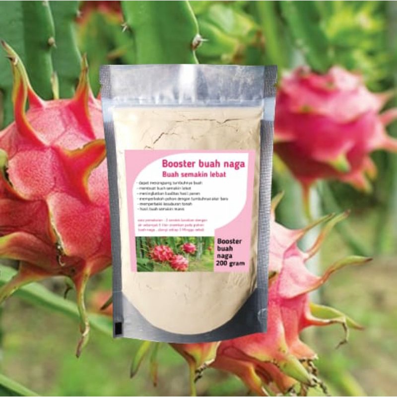 booster buah naga pupuk buah naga
