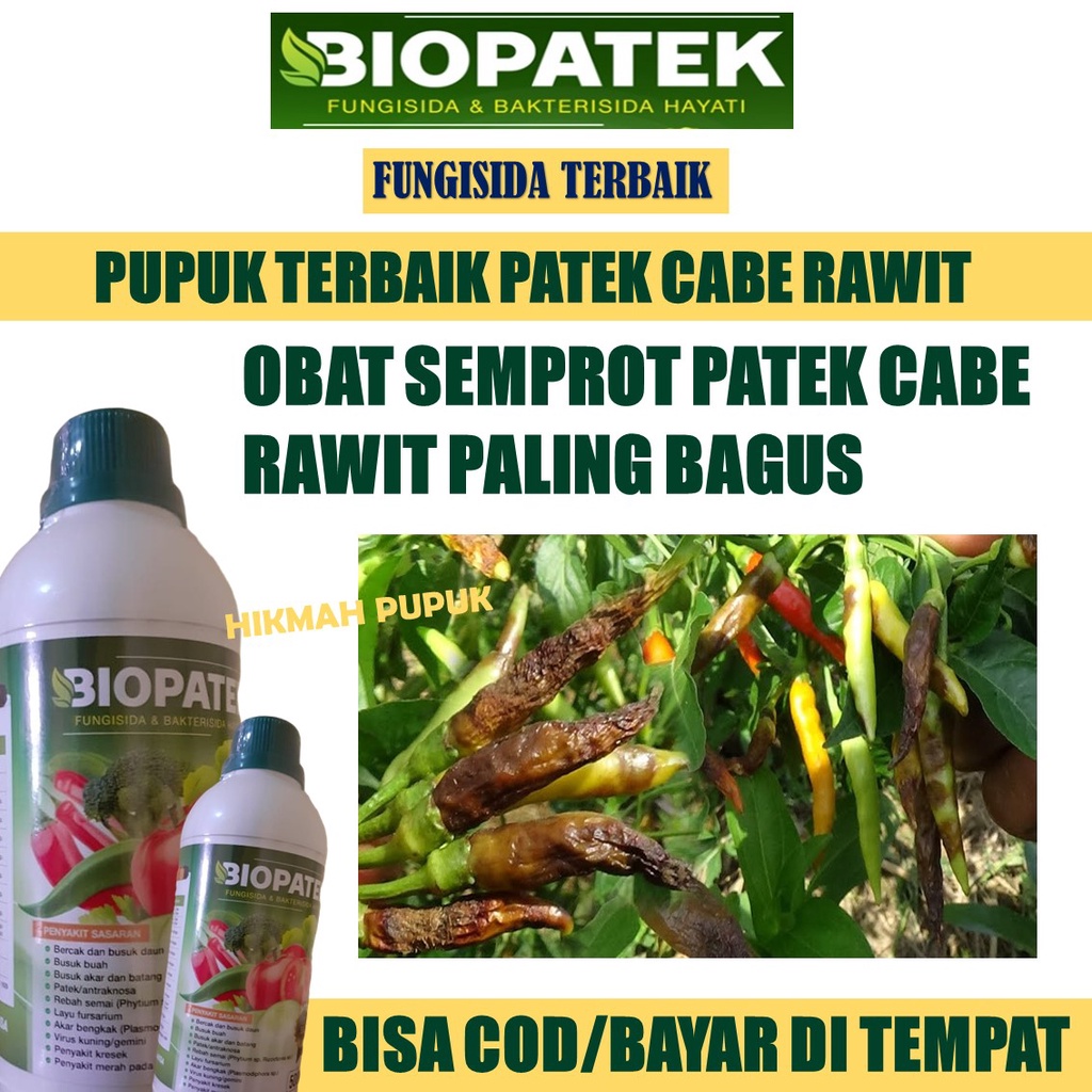 Jual Terlaris Obat Semprot Patek Busuk Cabe Rawit Terong Timun