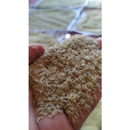 

1 KG TELUR JANGKRIK ALAM SUPER