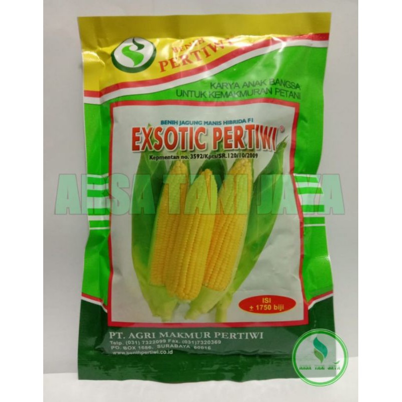 Benih Jagung Manis Exsotic 1.750 butir - Cap Benih Pertiwi