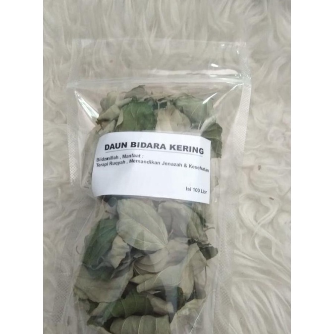 

Daun bidara kering syairah