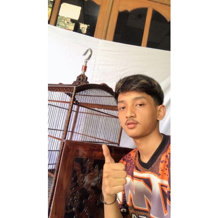 sangkar kotak, sangkar kacer, sangkar kenari, sangkar ukir