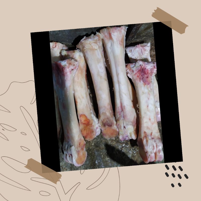 

Tulang sumsum kaki sapi per 1 kg
