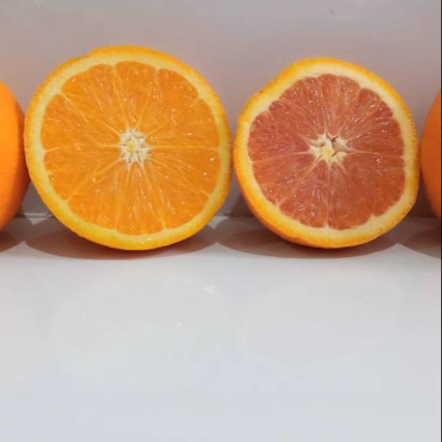 Jeruk Navel dan Cara Cara Australia bukan merk Sunkist