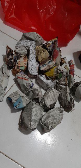 Kaktus Dan Sekulen ( Minimal 30 Packs )