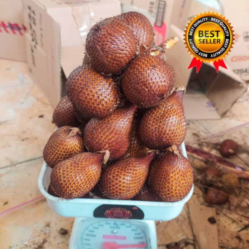 

salak bali size kecil segar 1kg