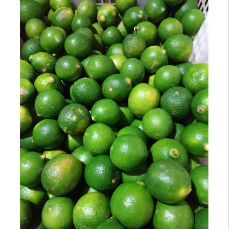 

Jeruk nipis 250gram