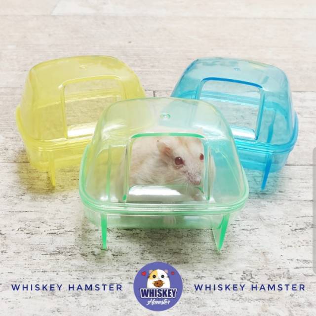 Rumah Sauna hamster