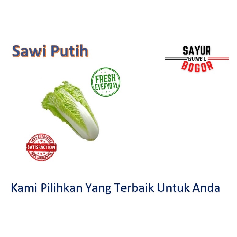 

Sawi Putih / Sawi Segar / Sawi Sayur / Sayuran Segar