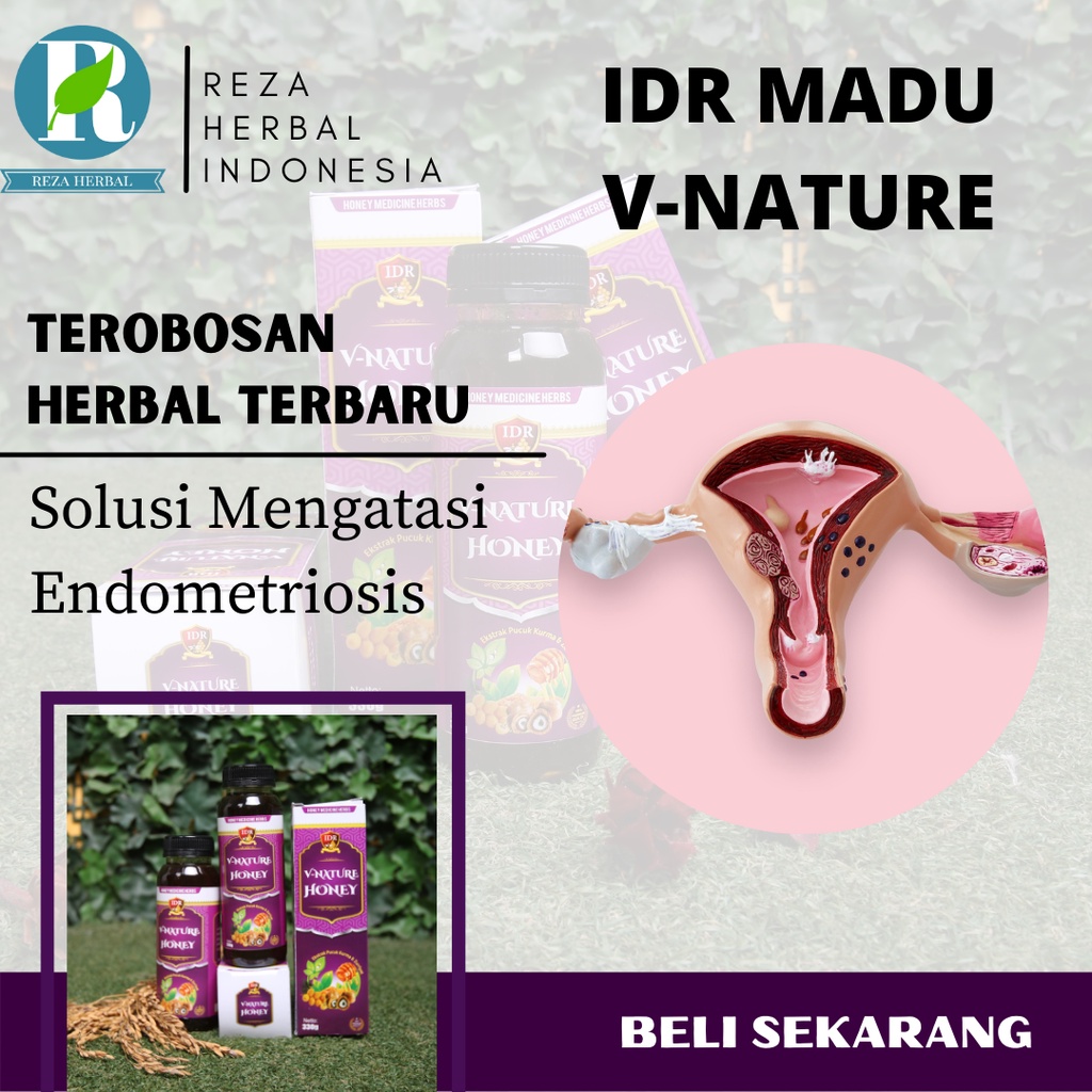 Obat Endometriosis - IDR madu V-Nature