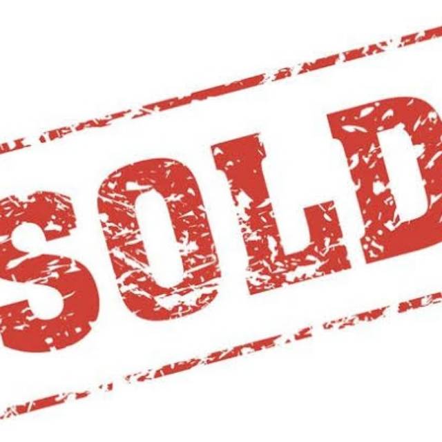 Cupang betina nemo emerald full block