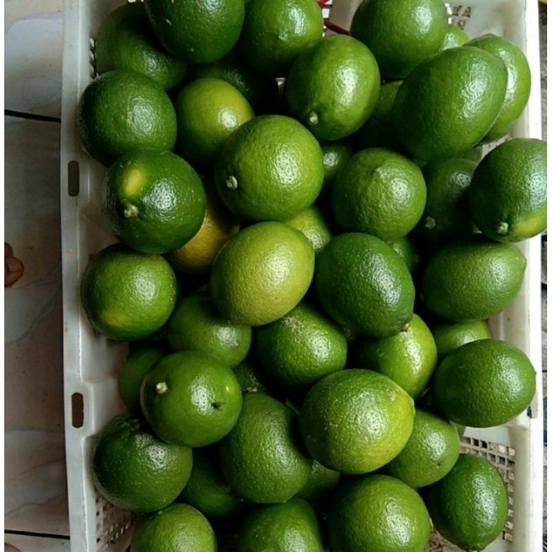 

Jeruk lemon hijau Austra 1 biji
