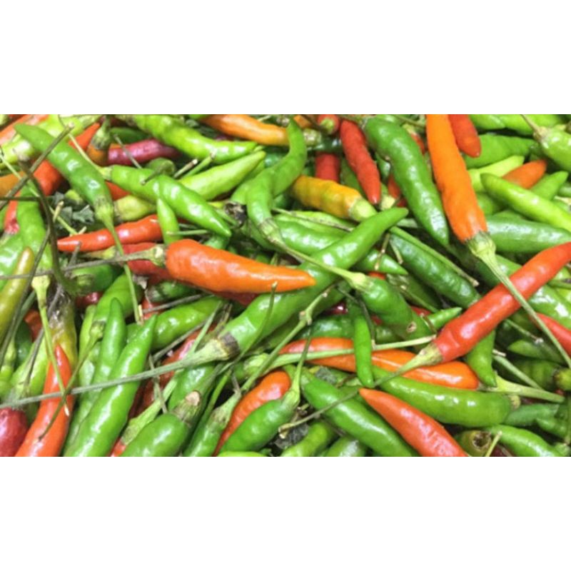 

cabe rawit segar/sayur segar 250 gram