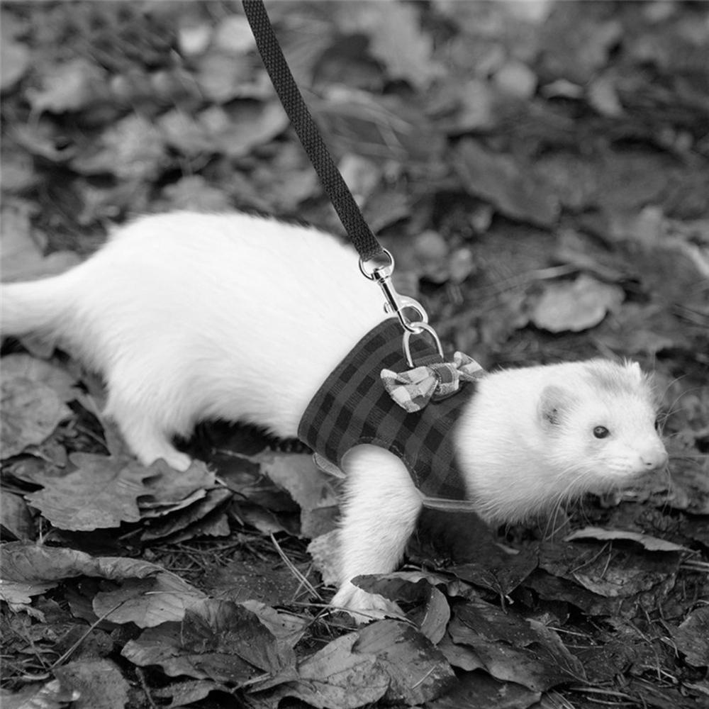 Rebuy Rompi Hamster Pengaman Luar Ruangan Ferret Squirrel Adjustable Chest Strap